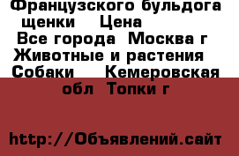 Французского бульдога щенки  › Цена ­ 35 000 - Все города, Москва г. Животные и растения » Собаки   . Кемеровская обл.,Топки г.